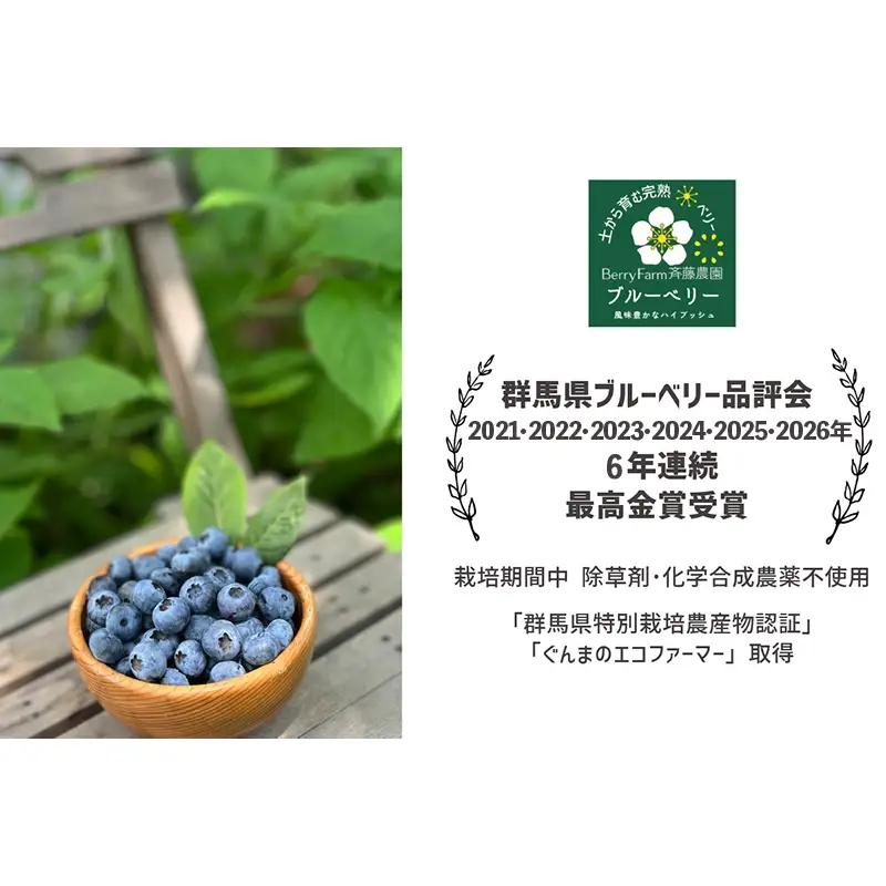 ブルーベリー大粒1kg 朝摘みでお届け！【6年連続最高金賞受賞 群馬県ブルーベリー品評会2021~2026年】 大粒 化学農薬不使用 除草剤不使用 フルーツ 果物 F4H-0684