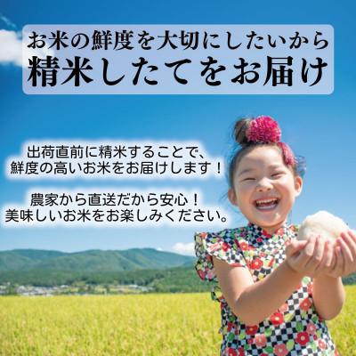 ふるさと納税 安芸市 【毎月定期便】6ヵ月連続でお届け!「コシヒカリ」定期便5kg全6回 |  | 03