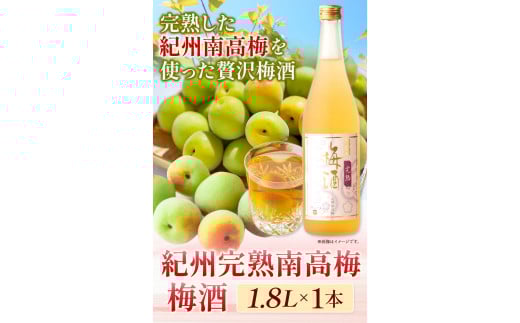 梅酒 紀州完熟南高梅 梅酒 1.8L 酒のねごろっく《90日以内に出荷予定(土日祝除く)》和歌山県 岩出市 梅酒 梅 うめ 紀州南高梅 1.8L  和歌山県 岩出市 酒 おつまみ おさけ お酒  日本