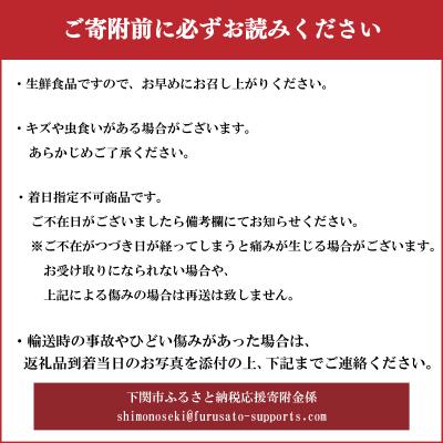 ふるさと納税 下関市 生ホップ 〜ビールに浮かべて〜 50g 下関 山口 IN102 |  | 03