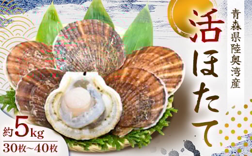 活ほたて　約5kg(30枚～45枚) 青森県陸奥湾産【1214595】