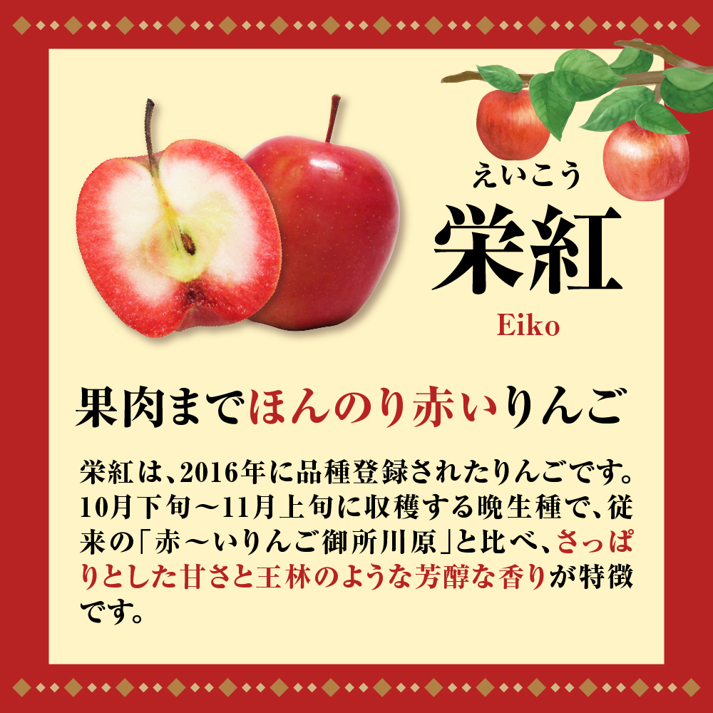 【ANA限定】中まで赤～いりんご<栄紅>【2026年11月中旬発送】訳あり 約 2.5kg 不揃い B品 家庭用 青森県 五所川原市 りんご リンゴ