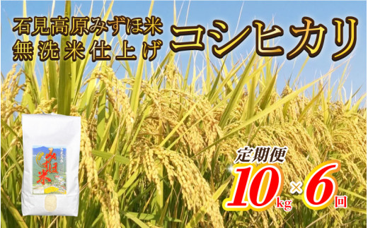 【定期便】令和7年産石見高原みずほ米コシヒカリ 無洗米仕上 10kgｘ6回