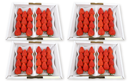 紅ほっぺセット(8パック)【配送不可地域：離島・北海道・沖縄県・四国・九州】【1676931】