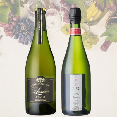 【ふるさと納税】スパークリングワイン2本セット(4)　040【配送不可地域：離島】【1641900】