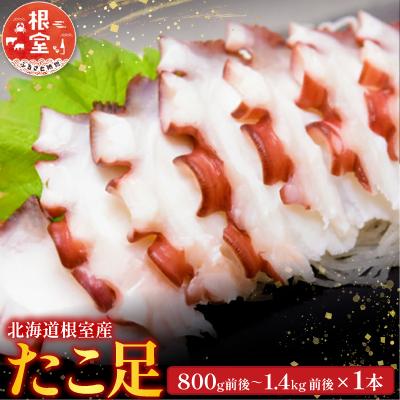 ふるさと納税 根室市 【北海道根室産】たこ足800g前後〜1.4kg前後×1本 A-36051