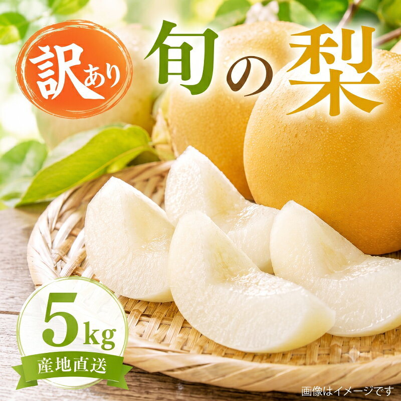 【ふるさと納税】 梨 訳あり 旬の梨 5kg (8～14玉) なし ナシ 先行予約 茨城県産 梨産地 あきづき 秋月 にっこり おまかせ 和梨 5キロ 果物 旬の果物 くだもの フルーツ デザート わけあり 家庭用 2026年 令和8年 新鮮 旬 一万円 10000円 茨城 茨城県 筑西 筑西市 関東