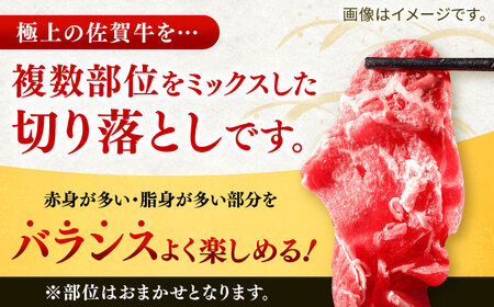 【全6回定期便】佐賀牛切り落とし 計6kg（500g×2P×6回） / 佐賀県 / ヤマサン食品 [41ADAA006]