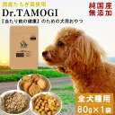 【ふるさと納税】犬 おやつ 無添加 「Dr.TAMOGI 80g×1袋」純国産 ドッグフード たもぎ茸 たもぎ エルゴチエネイン 犬のおやつ 犬用 オヤツ ペットフード いぬ 犬用おやつ 送料無料【お届け時期：入金確認後20日前後】