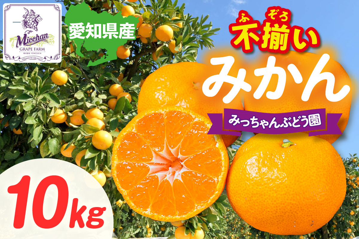 【先行予約】【2026年12月発送】【訳あり】不揃いみかん・10kg×1箱│フルーツ 柑橘 東浦町 10kg×1箱