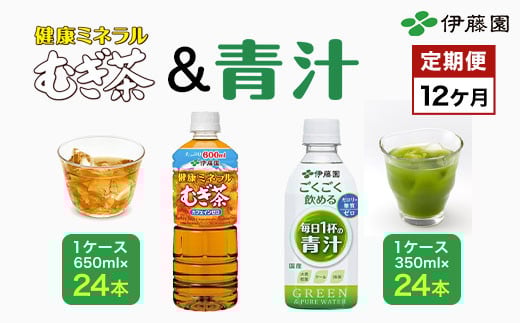 
            【12か月定期便】「伊藤園」健康ミネラルむぎ茶 1ケース（650ml×24本）＆ごくごく飲める！ 毎日1杯の青汁1ケース（350ml×24本）／伊藤園 麦茶 健康ミネラル麦茶 むぎ茶 カフェインゼロ 健康  青汁 無糖 あおじる 青じる カロリーゼロ 糖質ゼロ 毎日1杯の青汁 大麦若葉 ケール 抹茶 美容 野菜不足 箱買い ケース 大容量 定期便 定期 TMP025
          