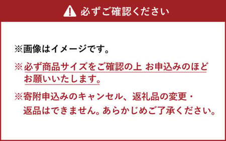 Fin β （B） 椅子 イス インテリア オブジェ 置物