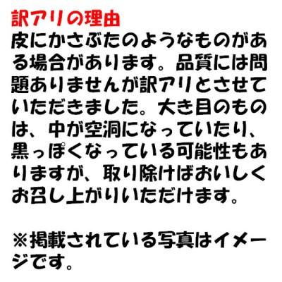 ZS-715 【訳あり】【数量限定】ママたちの想いをギュッ！薩摩で育ったほくほくじゃがいも（ニシユタカ） 10kg