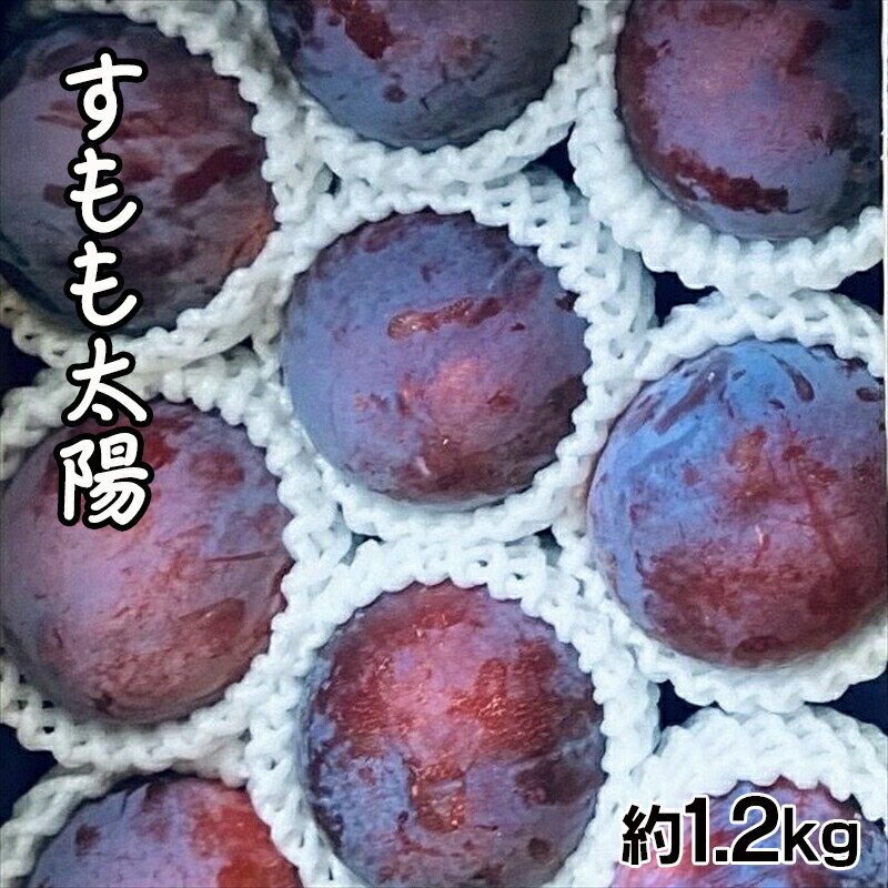 【ふるさと納税】 【2025年発送先行予約】すもも太陽 約1.2kg ふるさと納税 すもも 太陽 プラム 果物 フルーツ おすすめ 山梨県 南アルプス市 送料無料 ALPCZ008