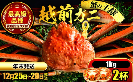 【先行予約/12月25日より順次発送】【年末希望】 越前がに 1kg×2ハイ ズワイガニ ずわいがに ボイル 冷蔵 小浜市 / まるほ商店 【配送不可地域：北海道・沖縄・離島】[BFCS046]