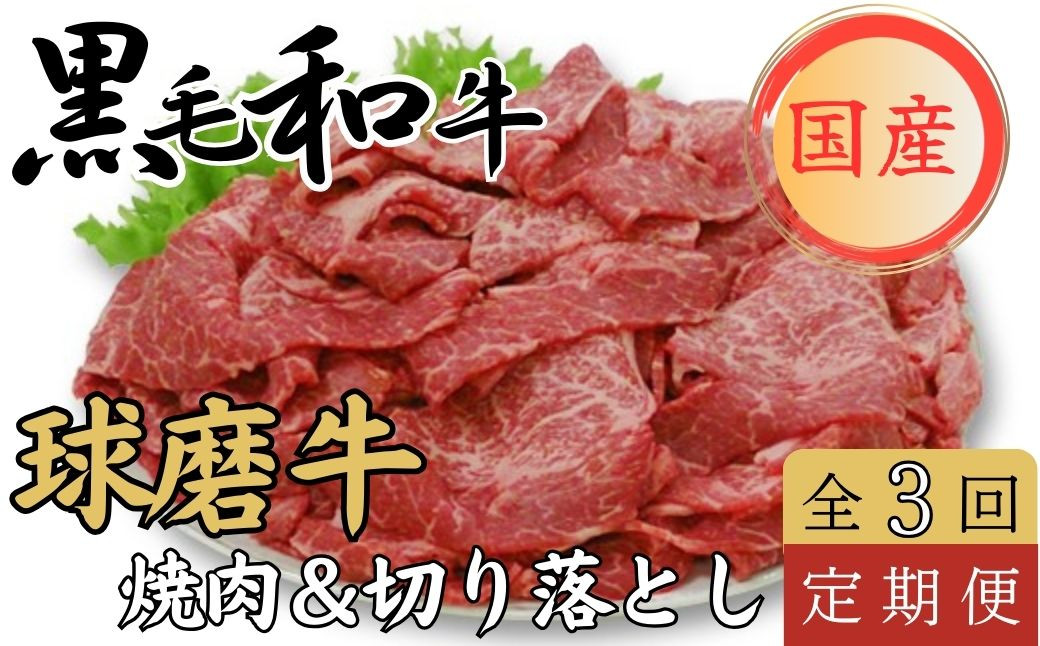 
                  球磨牛 くまもと黒毛和牛 焼き肉・切落しセット【年3回発送】 ／ 肩ロース焼肉用500g モモ切落し900g【6月発送】 ／ モモ焼肉用700g バラ切落し700g【10月発送】 ／ ウデ焼肉用700g うす切り（切落し）850g【2月発送】
                