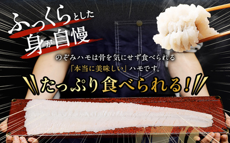 のぞみ水産 活〆 骨切り 生鱧 500g 【2025年5月上旬から12月上旬発送予定】