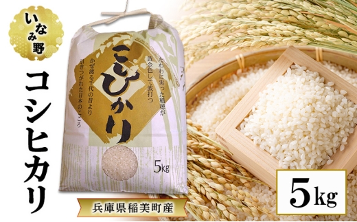 いなみ野 コシヒカリ 5kg　国産 兵庫県産 米 お米 白米 精米 こしひかり ごはん ご飯 お弁当 おにぎり