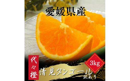 【先行受付】【トロッととろける果実】【訳あり】清見タンゴール 3kg【A83-32】【1623456】 YWTW032