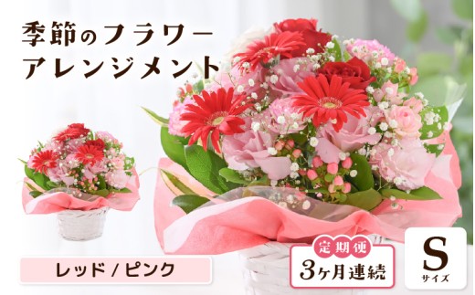 定期便 ≪3ヶ月連続お届け≫ 選べるカラー 季節のフラワーアレンジメント S (レッド・ピンク) 【お花 フラワー アレジメント 花束 ギフト 生花 プレゼント 花束 花 記念日 敬老の日 お祝い】 [B-20714_01]