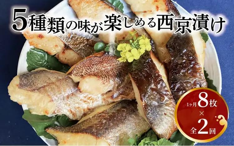 定期便 西京漬け 2ヶ月 5種 西京焼き 定期便