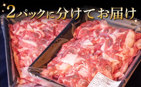 【2025年11月発送】担当者イチオシ!! 石垣島産《黒毛和牛》切り落とし 1kg （500g×2）お肉 肉 牛肉 冷凍 すきやき すき焼き 牛丼 和牛 しゃぶしゃぶ 八重山食肉センター 切落とし Y