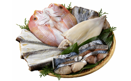 玄界灘の贅沢干物 全6種食べ比べセット（イカ・アジ・カマス・サバ・連子鯛 等） / 干物 イカ アジ カマス サバ 連子鯛 / 佐賀県 / 丸福水産 [41AOCS003]