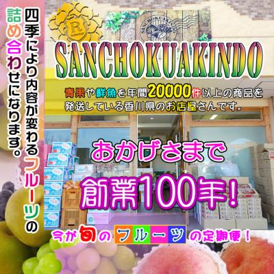 ふるさと納税 坂出市 【2週間毎定期便】創業100年の老舗が選んだ厳選フルーツの詰め合わせ【プレミア定期便】全20回 |  | 03