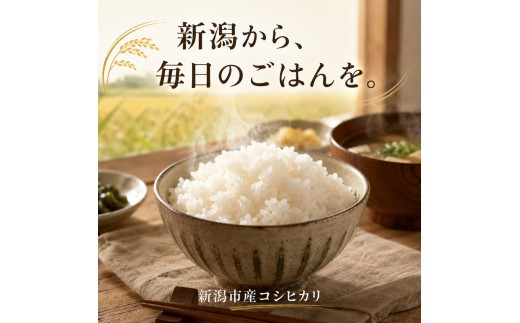 【先行予約】令和8年産 新潟県産 新之助 5kg 米 精米 白米 こめ コメ お米 おこめ 新潟 新潟県