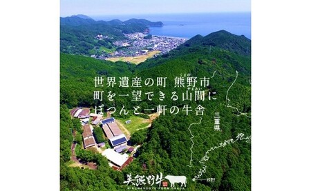 【美熊野牛】カレー