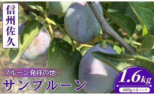 プルーン約1.6kg【先行予約・2026年9月下旬発送】（沖縄県・離島は発送不可）信州 長野県 佐久市 スモモ 令和8年産 旬彩 生