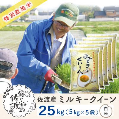 ふるさと納税 佐渡市 佐渡島産ミルキークイーン 白米25kg(5kg×5袋)　令和7年産 特別栽培米