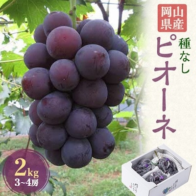 【発送月固定定期便】岡山の美味しい果物 桃・ピオーネ・シャインマスカット全3回【配送不可地域：離島】