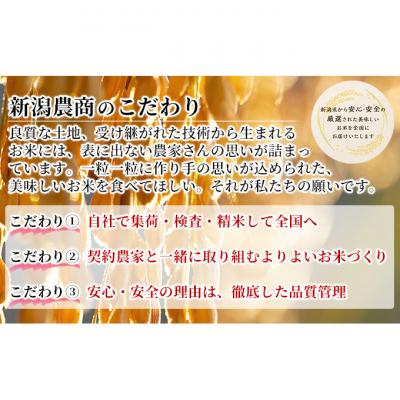 ふるさと納税 新潟市 新潟産コシヒカリ 5kg×2 [54070972] |  | 01