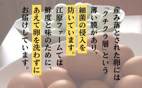 AG14_【定期便6か月】江原ファーム　体に優しい地養卵（30個）