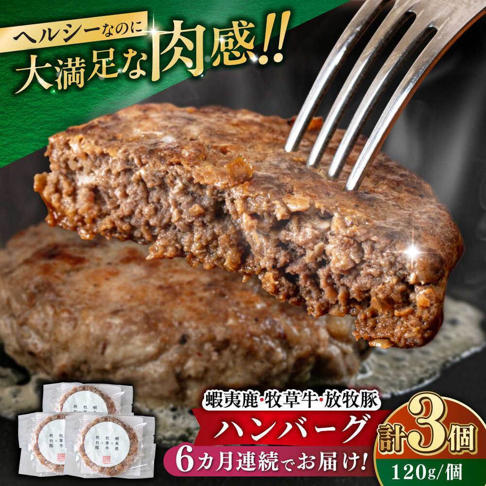 【ふるさと納税】【全6回定期便】 【蝦夷鹿×牧草牛×放牧豚】ハンバーグ 3個 《厚真町》【GOODGOOD株式会社】 ハンバーグ 鹿肉 牛肉 豚肉 小分け 冷凍配送 北海道[AXBP016]
