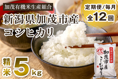 【令和7年産新米先行予約】【定期便12ヶ月毎月お届け】新潟県加茂市産コシヒカリ 精米5kg《10月中旬から順次出荷》白米