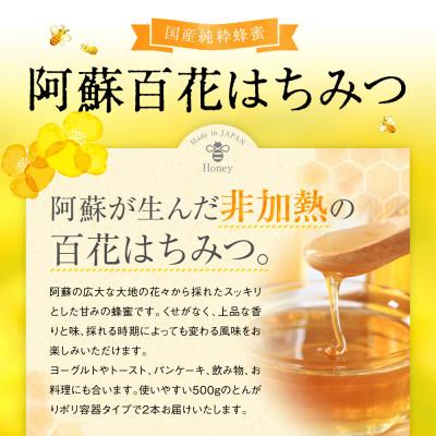 ふるさと納税 高森町 【4月・5月】国産はちみつ1kg 阿蘇 純粋蜂蜜(とんがりポリ容器500g×2本セット)(高森町) |  | 01