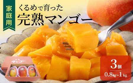 【家庭用】くるめで育った完熟マンゴー（3玉：約0.8～1kg）_先行予約 6月下旬から順次お届け 家庭用 くるめで育った 完熟マンゴー 3個 約 0.8kg ～ 1kg 糖度 17度 ～ 18度 甘い とろける 子供も安心 完熟 トロピカル フルーツ 果物 マンゴー 国産 クール便  倉重農園 地植栽培 お取り寄せ 福岡県 久留米市 送料無料_Fm017