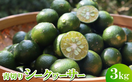 【2026年9月頃から順次発送】道の駅 ゆいゆい国頭が厳選した青切りシークヮーサー3kg