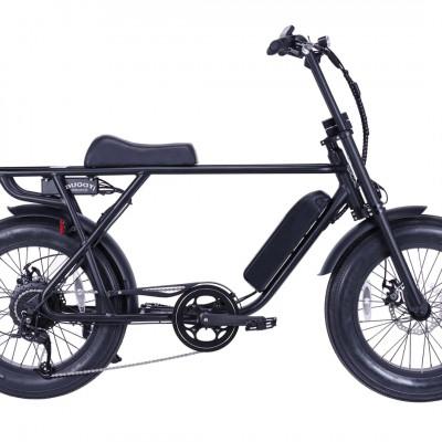 ふるさと納税 藤沢市 電動アシスト自転車 BRONX BUGGY20 (Matte Black)　【ショートシート】 |  | 01