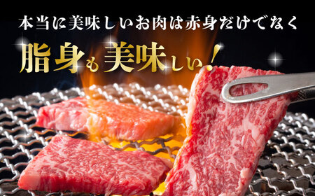 熊本県産 黒毛和牛 ロース 焼肉用 約1.2kg（約300g×4pc）【有限会社 九州食肉産業】[ZDQ152]