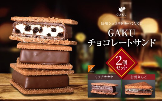 【信州ショコラトリーGAKU】GAKUチョコレートサンド２個セット（リッチカカオ・信州りんご各１個入り） │ ふるさと納税 信州 長野県 松本市 お菓子 おかし 甘い チョコ チョコレート サンド カカオ スイーツ デザート