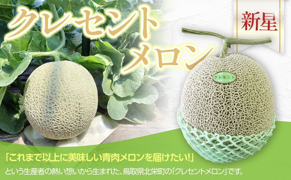 783.【先行予約】青肉メロンの新星「クレセントメロン」満足の２玉セット　※2025年７月中旬より順次発送予定