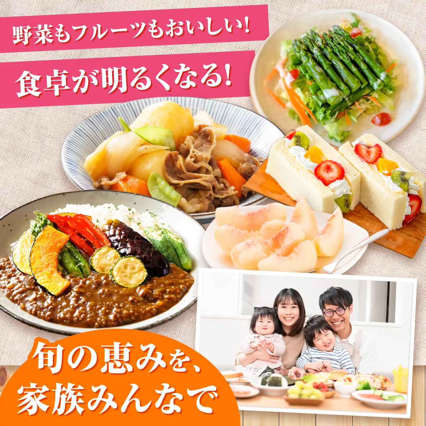 【6回定期便】【産地直送】長崎県諫早産 旬の野菜＆フルーツ詰め合わせ 9～11品目程度 季節のおまかせセット / 野菜 フルーツ 果物 セット 詰め合わせ 旬野菜セット 旬のフルーツ 旬 食べ比べ 産