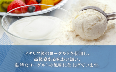訳ありジェラート ２L ヨーグルト【Himi Gelato】　ジェラート