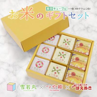 ふるさと納税 鶴岡市 真空キューブ米 詰め合わせ 300g(2合)×9個 山形県産 つや姫/雪若丸/はえぬき
