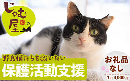 ≪お礼品なし≫保護猫 活動支援(1口：3,000円) 猫 ねこ ネコ 地域猫 野良猫 のらねこ さくら猫 保護 支援 保護猫活動 里親 動物保護 保護活動支援 ペット保護 支援活動 返礼品なし ボランティア活動 医療費 エサ代 TNR活動 去勢 【じゃむ屋】assn15-008