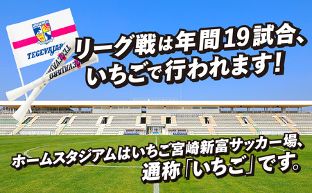 テゲバジャーロ宮崎　応援グッズ3点セット テゲバ 応援 グッズ