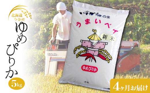 【4ヶ月連続お届け】令和6年度産 今金産 ゆめぴりか 5kg お米 北海道 今金町産 米 白米 米俵 F21W-436